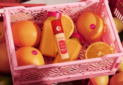 Bourjois Healthy Mix podkład